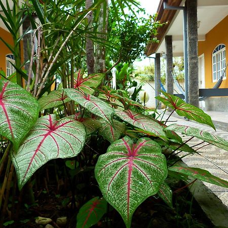 Villa Do Sonho Pousada Hotel Araquari Exteriér fotografie