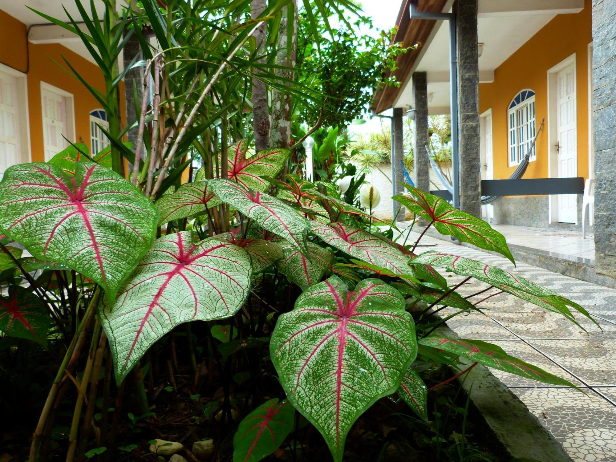 Villa Do Sonho Pousada Hotel Araquari Exteriér fotografie
